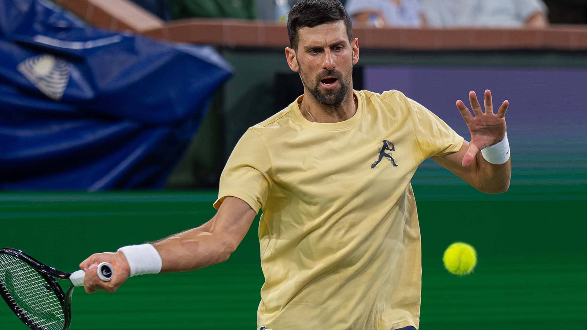 Novak Djokovic is a 101-time tour-level champion.