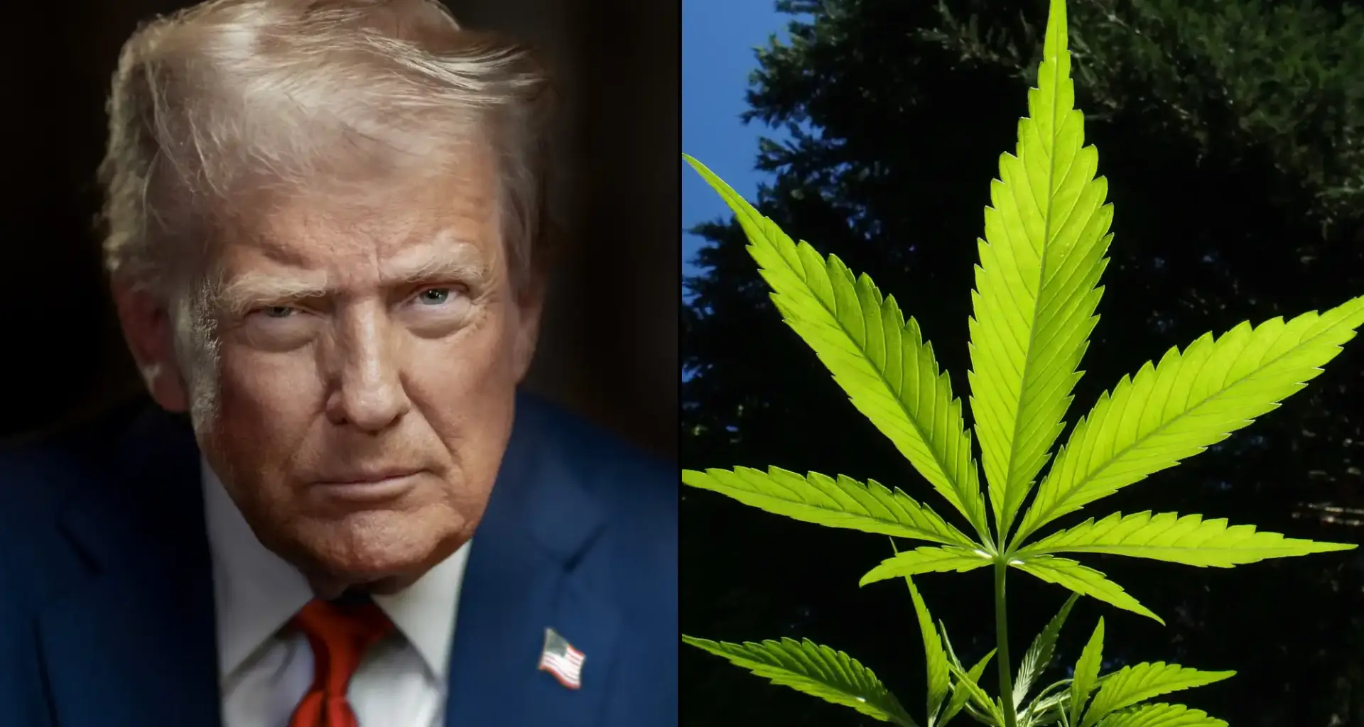 Trump Administration Ready To Move Ahead On Marijuana Rescheduling, Four Months After President's Executive Order, Report Says