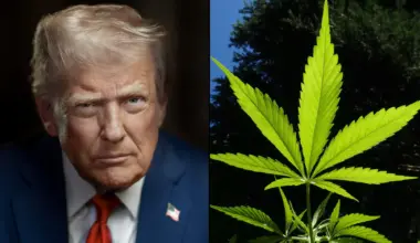 Trump Administration Ready To Move Ahead On Marijuana Rescheduling, Four Months After President's Executive Order, Report Says