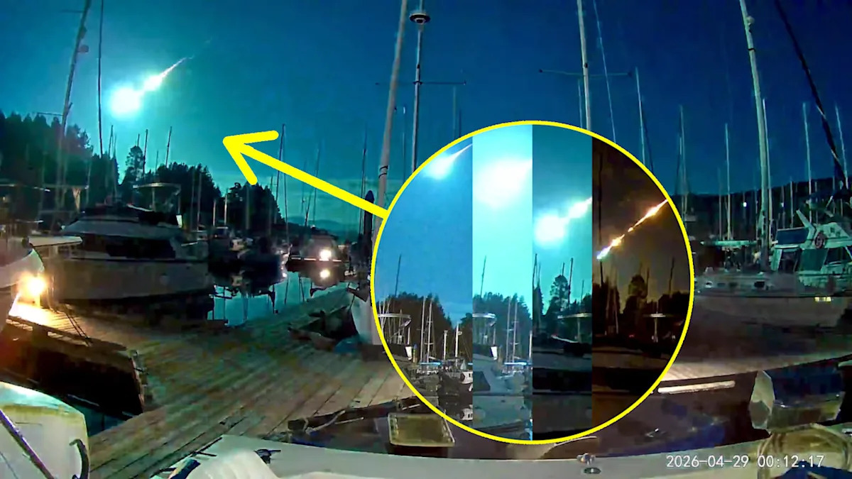 Bright fireball meteor lights up the night sky over Vancouver Island