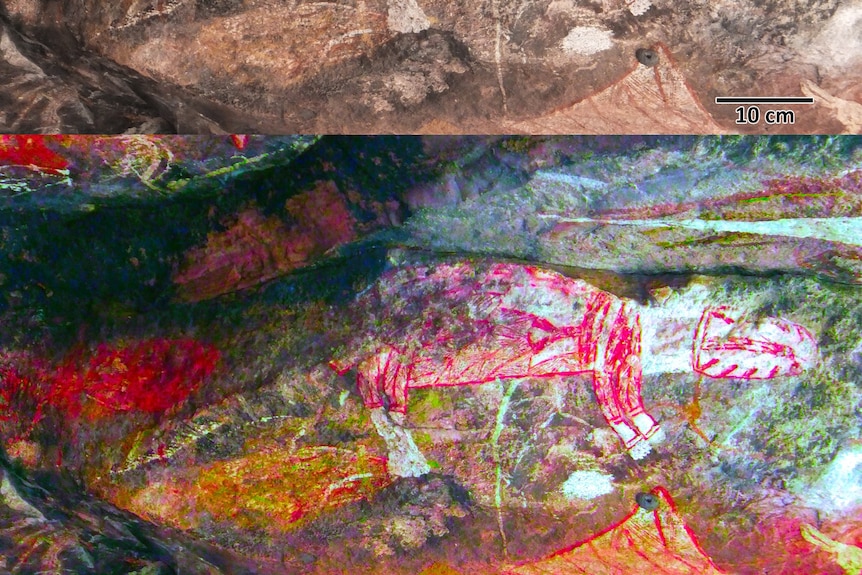 Rock art depicting Tasmanian tigers