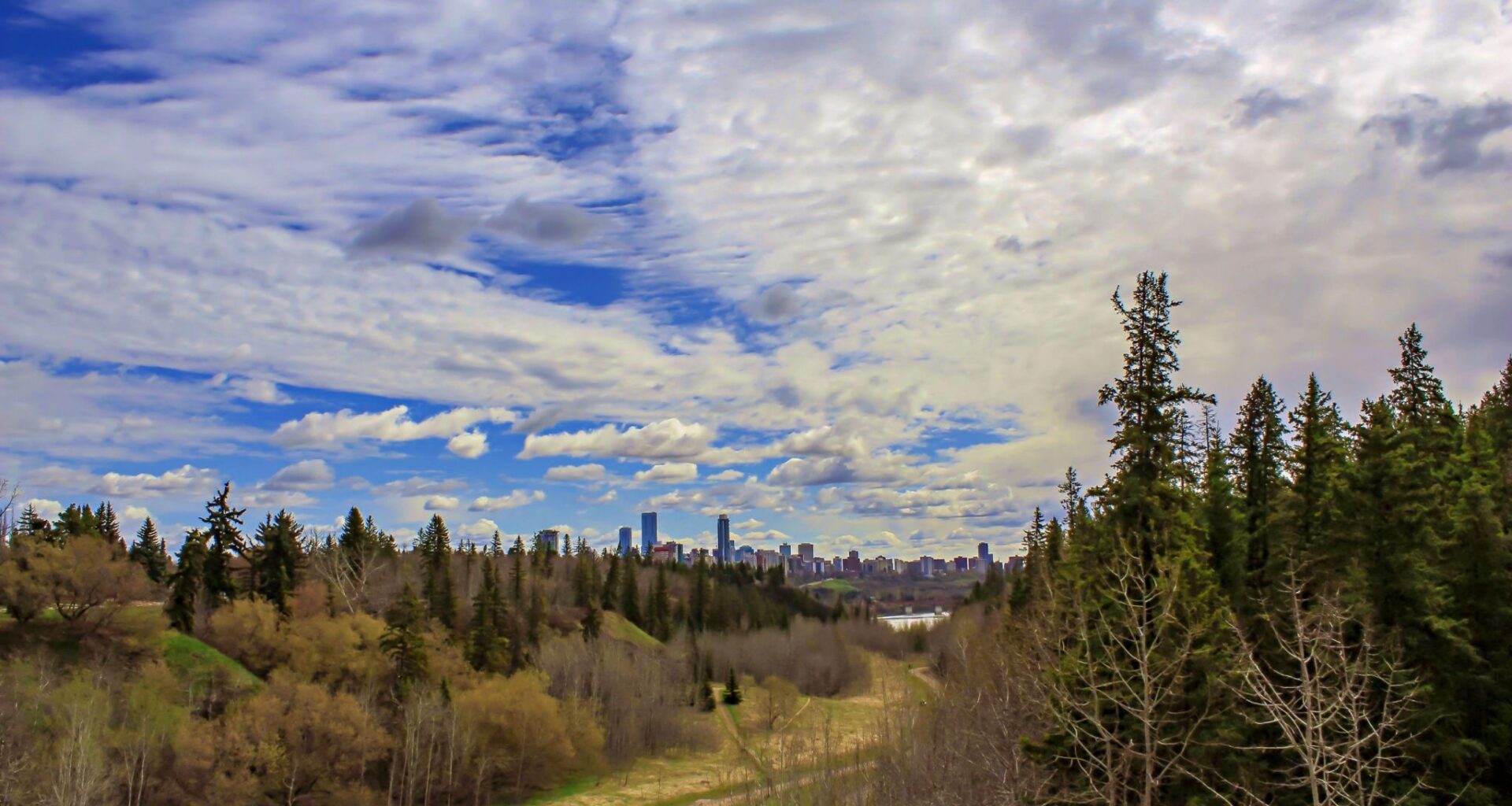 10 things to do this week in Edmonton (April 13-17)