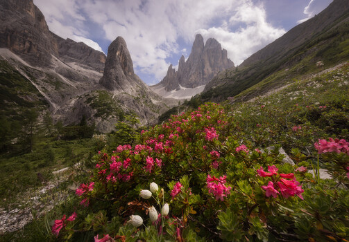 Erin Babnik on Landscape Gear and Post-Processing