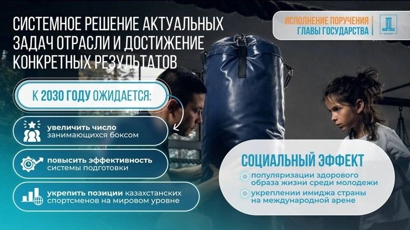 Kazakhstan approves boxing development concept for 2026–2030 Kazakhstan approves boxing development concept for 2026–2030