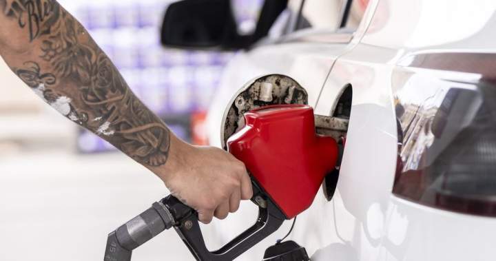 Experts warn gas price drops in Atlantic Canada may not last long