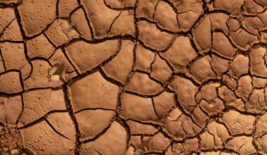 Why the phrase ‘Super El Niño’ makes Australian climate scientists roll their eyes