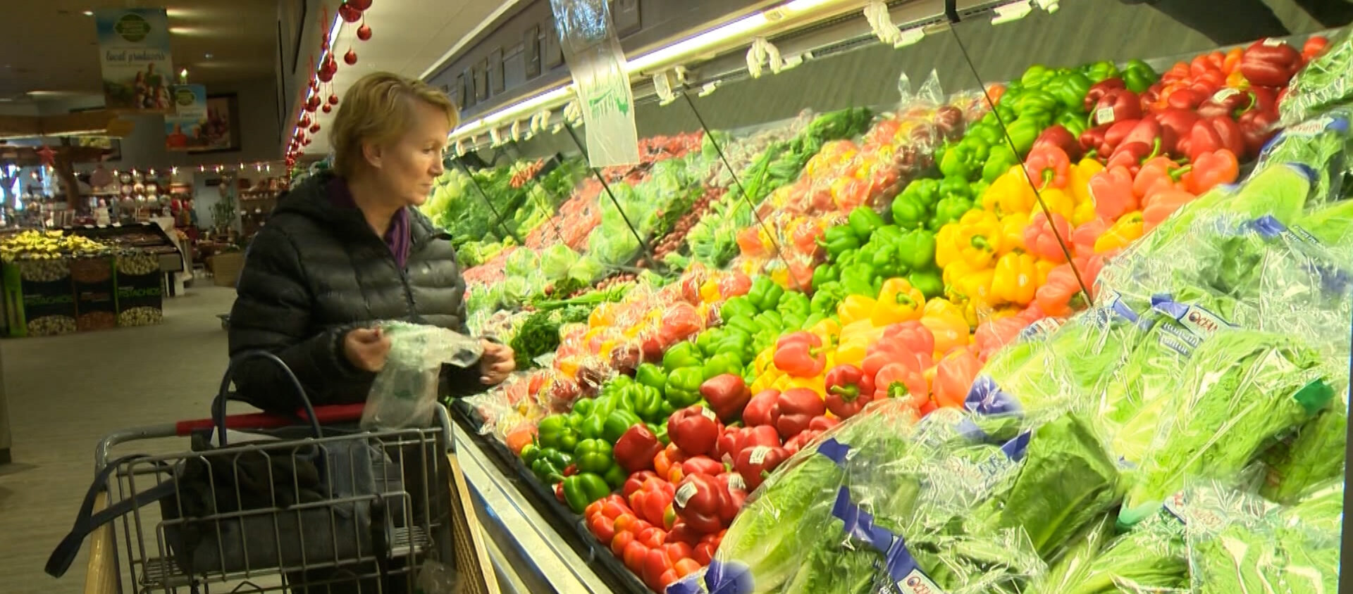 Ottawa to issue grocery benefit on June 5