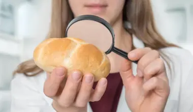 Scientists discover why bread can cause weight gain without extra calories