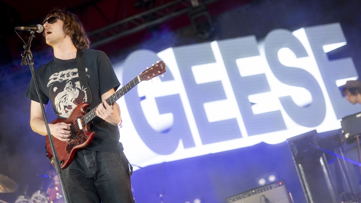 No, Geese Is Not a Psy-Op