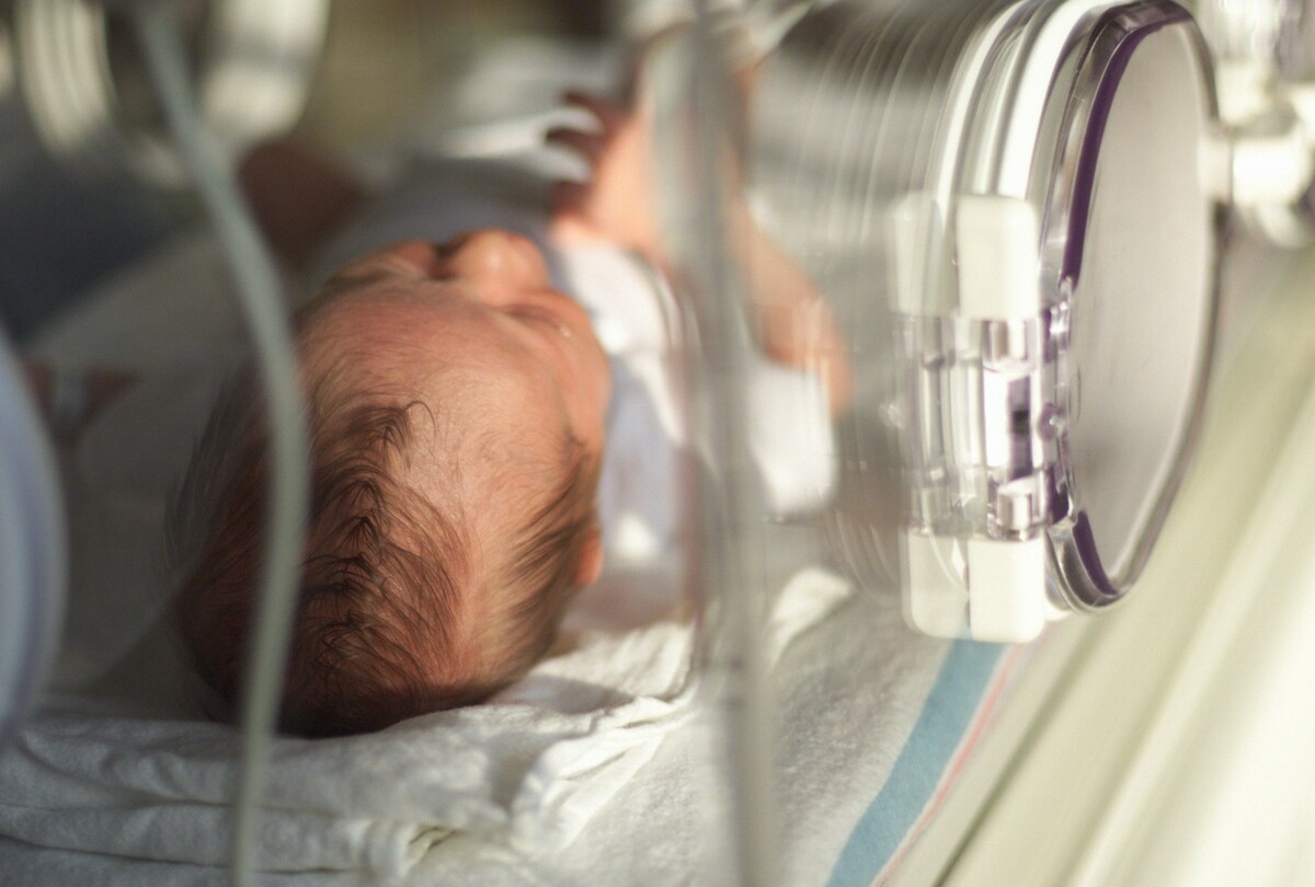 Millions of Preterm Births and Thousands of Infant Deaths Linked to Phthalate Exposure
