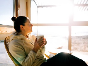 happy mammoth review