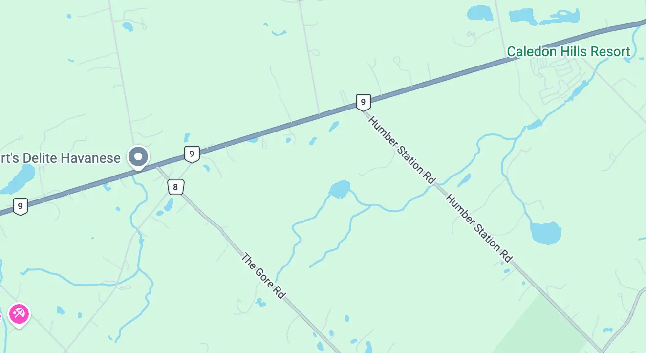 highway 9 crash caledon