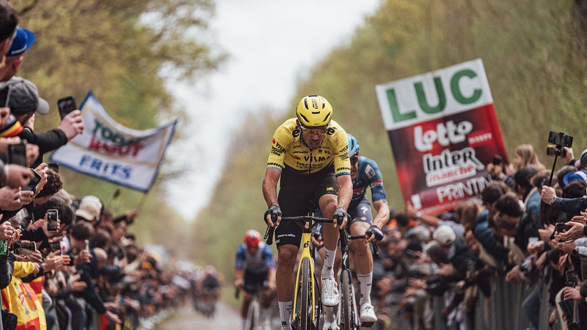 Two of Wout van Aert's Roubaix super domestiques set for Visma contract extensions 🐝