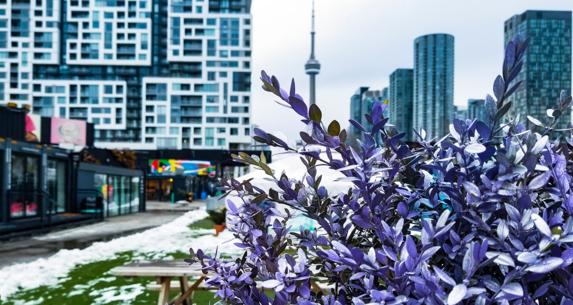 Cold snap hits Toronto Tuesday with flurries and strong winds