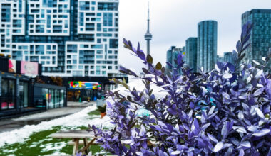 Cold snap hits Toronto Tuesday with flurries and strong winds