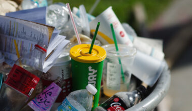 Edmontonians raise concerns over garbage pickup as waste piles up
