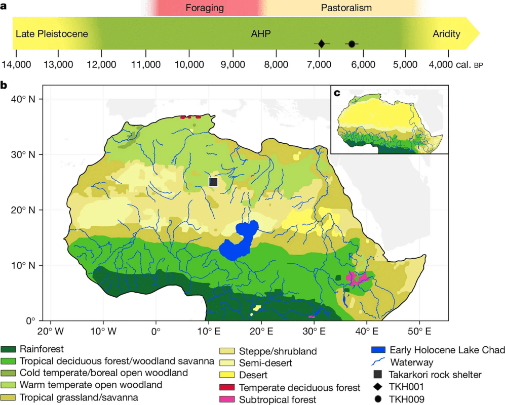 Ancient DNA from the Green Sahara reveals ancestral North African lineage. Timeline of climate phases and subsistence strategies during the late Pleistocene and the Holocene in North-East Africa and Central Sahara. The radiocarbon dates for both Takarkori individuals are given by the black diamond and circle. Credit: Nature.