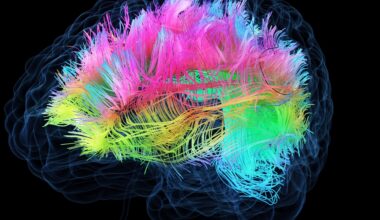 Imagination is linked to deeper brain networks than expected