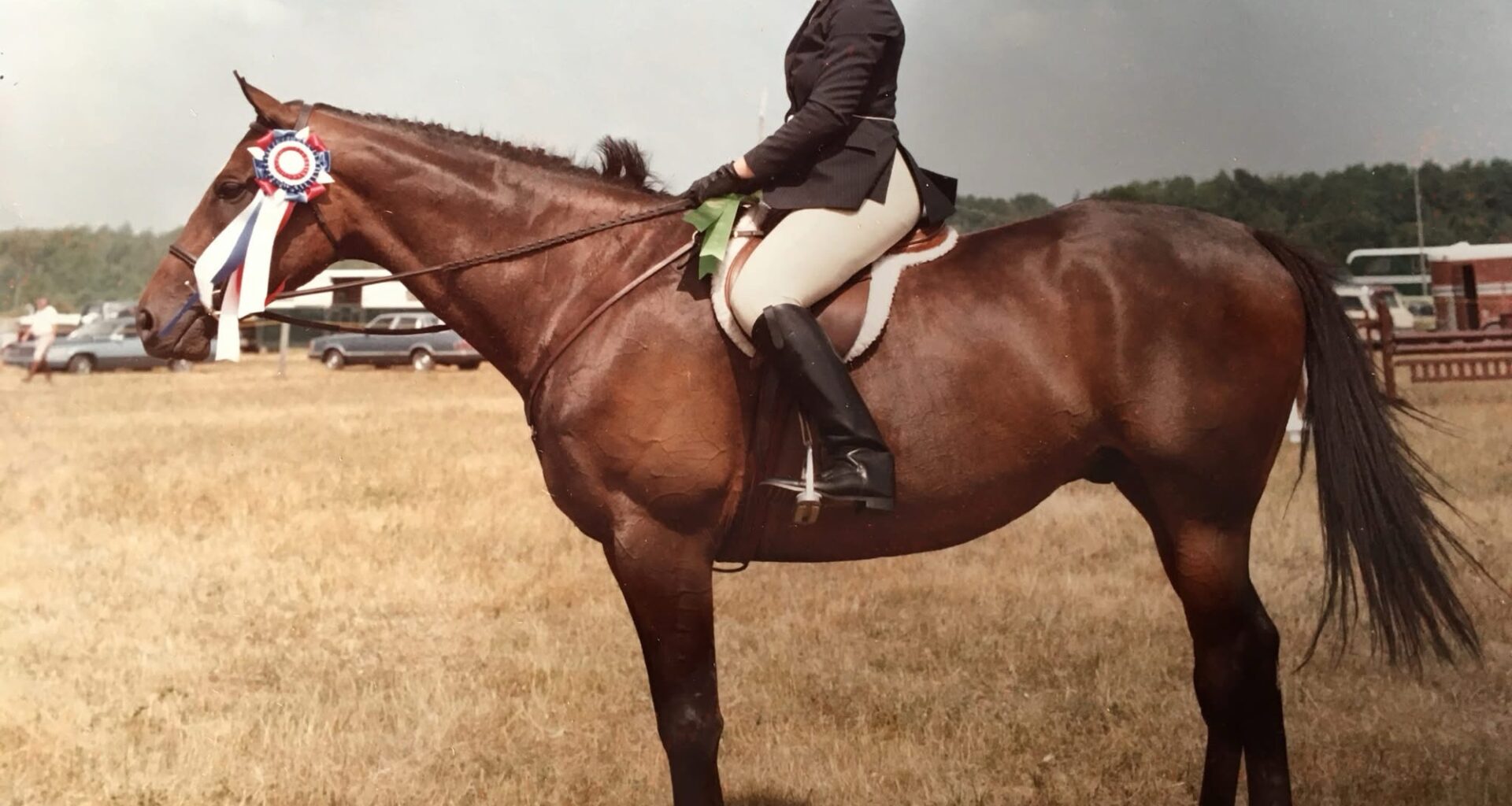 Ottawa editor draws on newsroom life and horse world for debut mystery novel