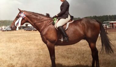 Ottawa editor draws on newsroom life and horse world for debut mystery novel