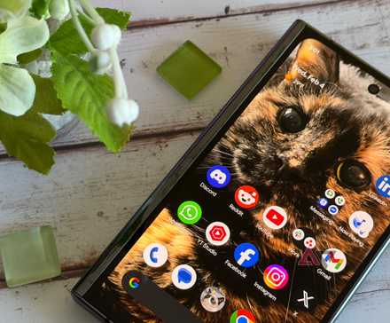 Google Pixel Fold in a photo with some flowers