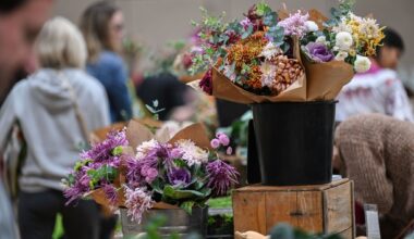 10 fun things to do this weekend in Edmonton (April 10-12)