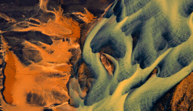 New Book Celebrates the Hidden Patterns That Define Our World