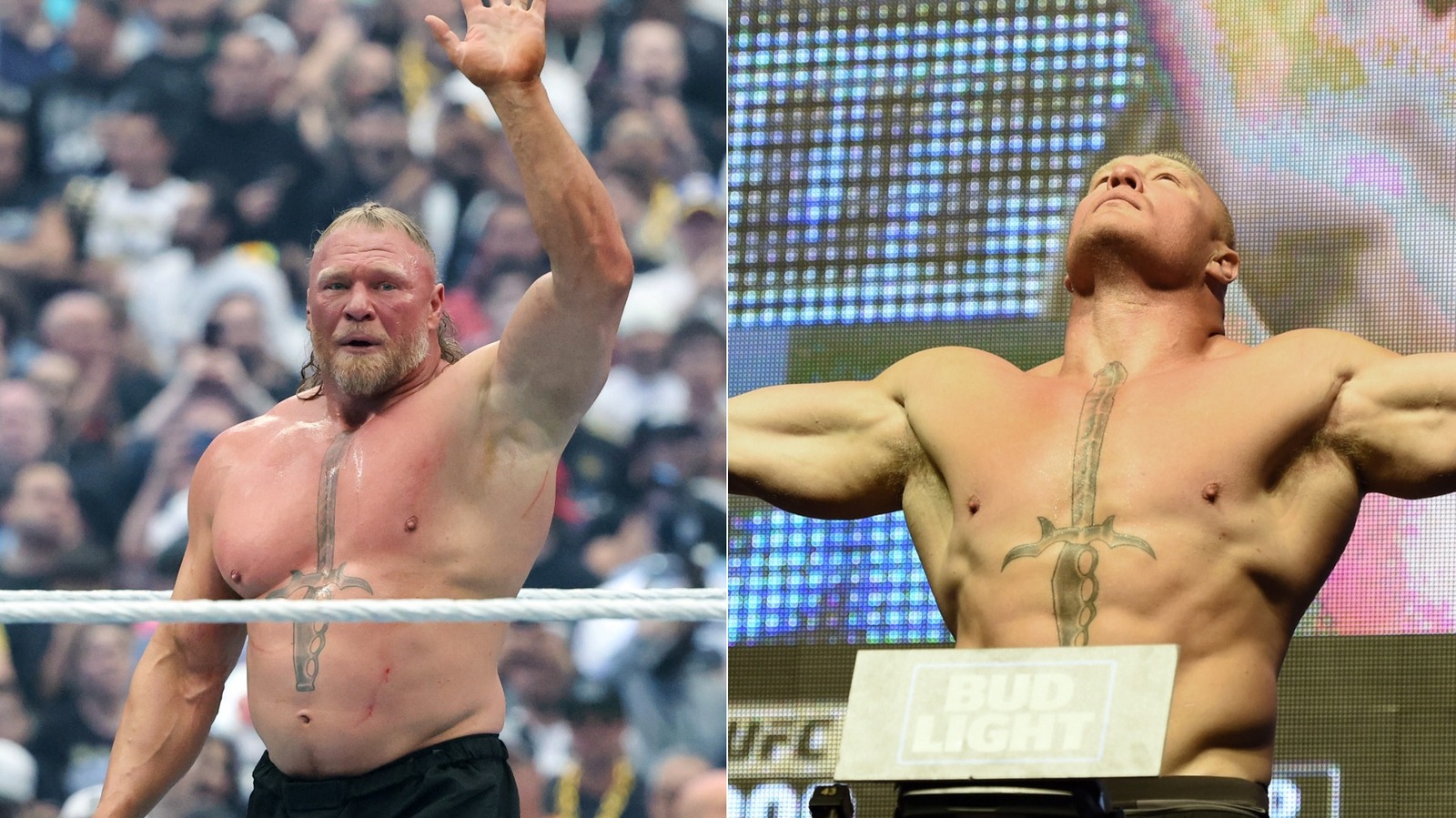 Netflix Could Bring Brock Lesnar Back To MMA