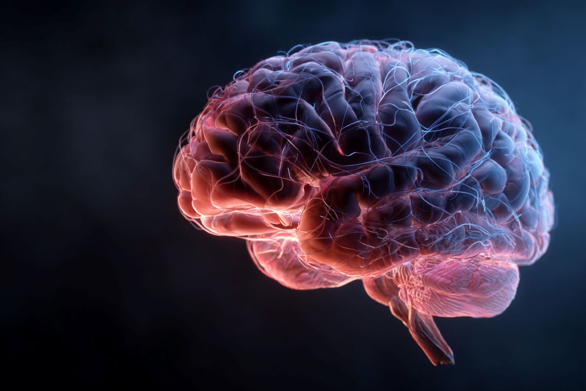 Neuroscience News logo for mobile.