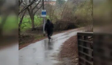 Victim sexually assaulted in Brampton park, police say
