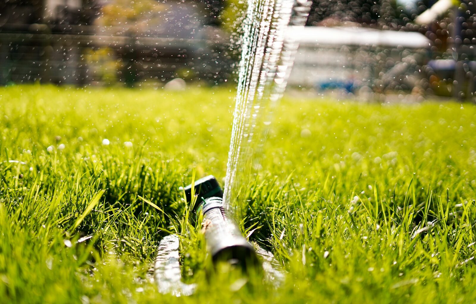 Calgary moves forward with outdoor watering schedule