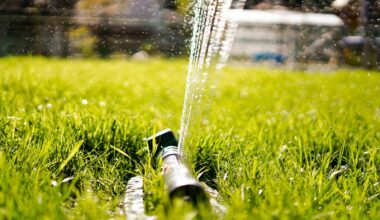 Calgary moves forward with outdoor watering schedule