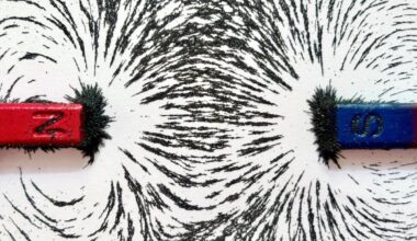 Magnetic Field Shown By Iron Filaments For Different Poles