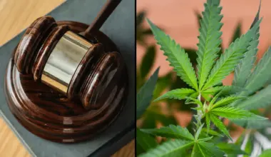 Judge Rejects Anti-Marijuana Groups' Motion To Block CBD And THC Medicare Coverage Plan, Setting Hearing For 4/20