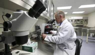 New Opportunities to Participate in Medical Research