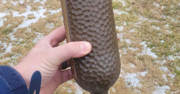 ‘Disappointing and disturbing’: More than 60 metal vases stolen from Nova Scotia cemetery - Halifax