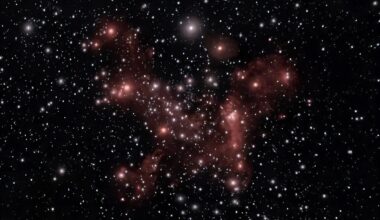 Brighter Side of News