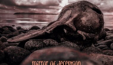 Mirror of Deception - Transience Review