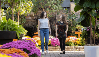 10 fun things to do this week in Edmonton (April 20-24)