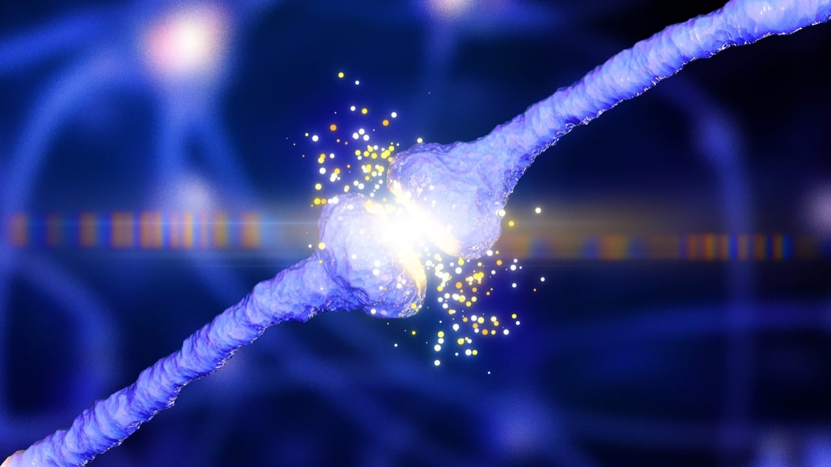 New 'Unifying Theory' May Explain How Alzheimer's Emerges in The Brain : ScienceAlert