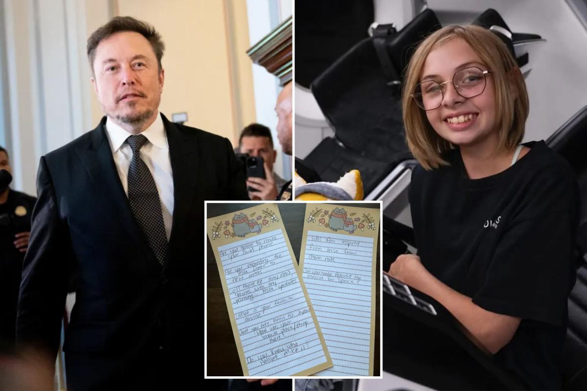 Elon Musk fulfills teen cancer patient's last wish in touching X post