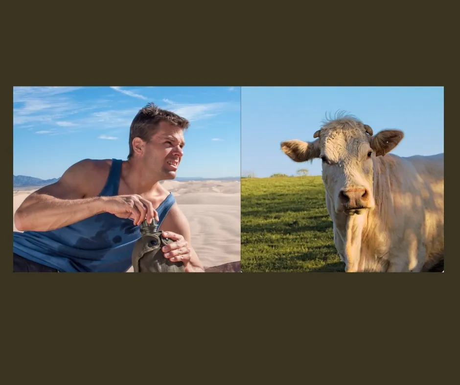 hydration tips, milk vs water, health science, dehydration effects, healthy habits