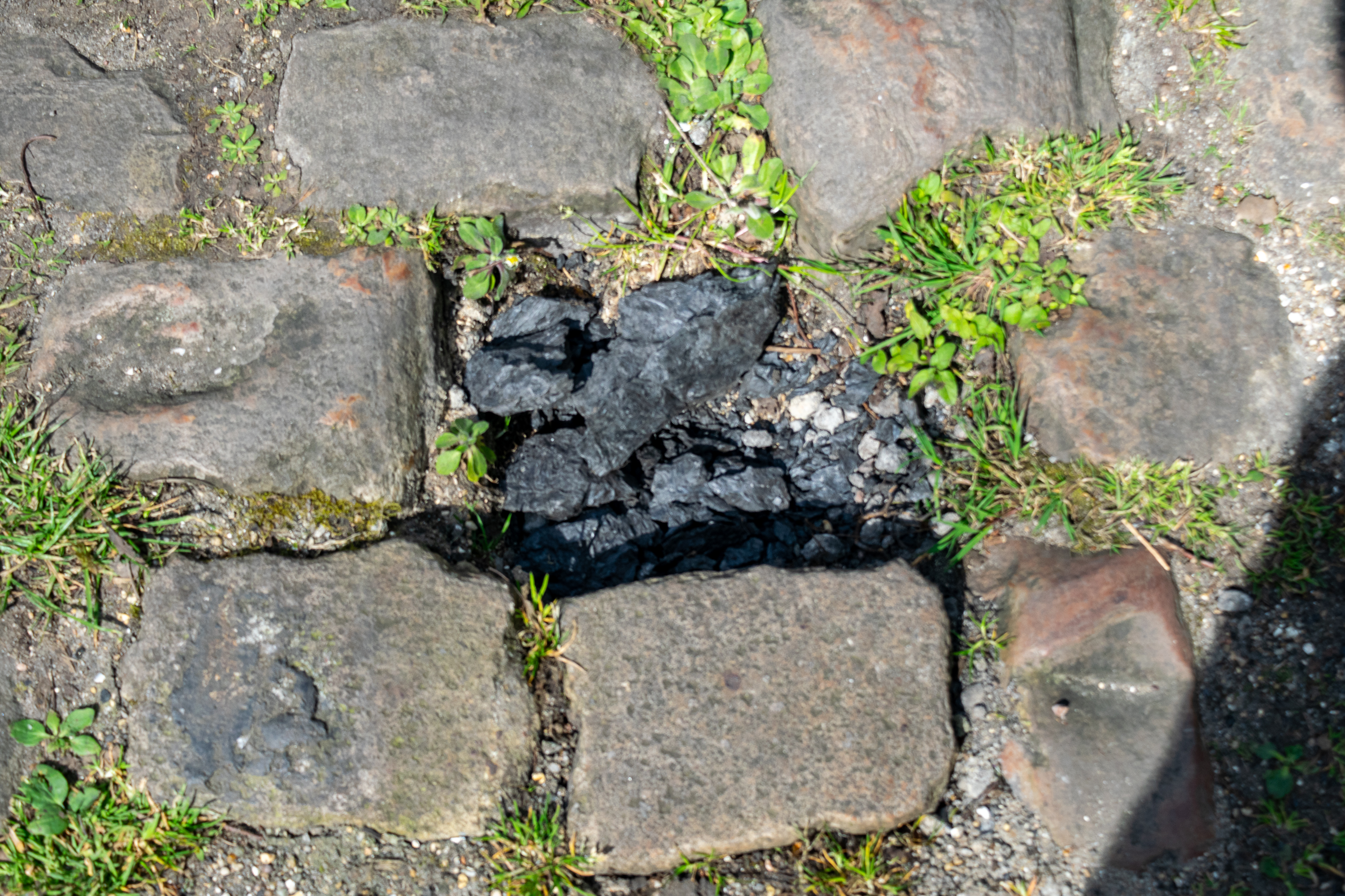 A pothole in the forest of Arenberg filled with coal spoil