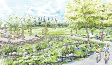 park concept