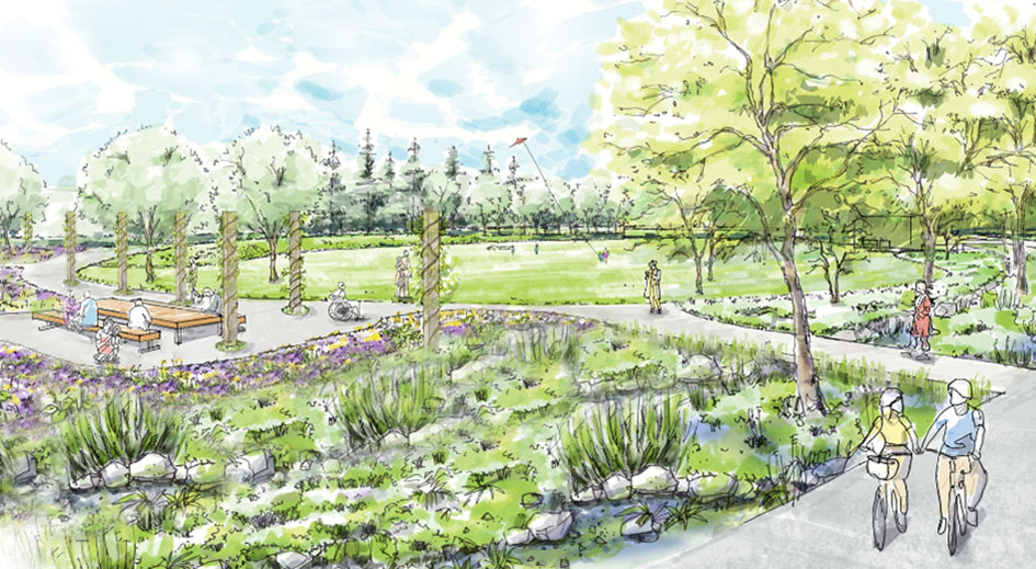 park concept