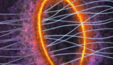 This artist's illustration shows the young protostar MC 27 and its protostellar disk in the lower right. The large, 1,000 au ring of gas is shown, along with magnetic field lines penetrating the ring. Image Credit: Y. Nakamura, K. Tokuda et al. 2026. ApJL