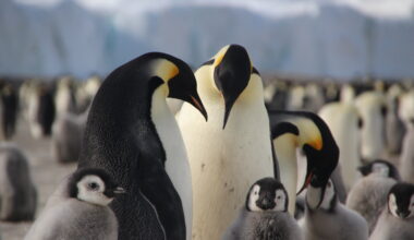 National Geographic Live in Calgary
