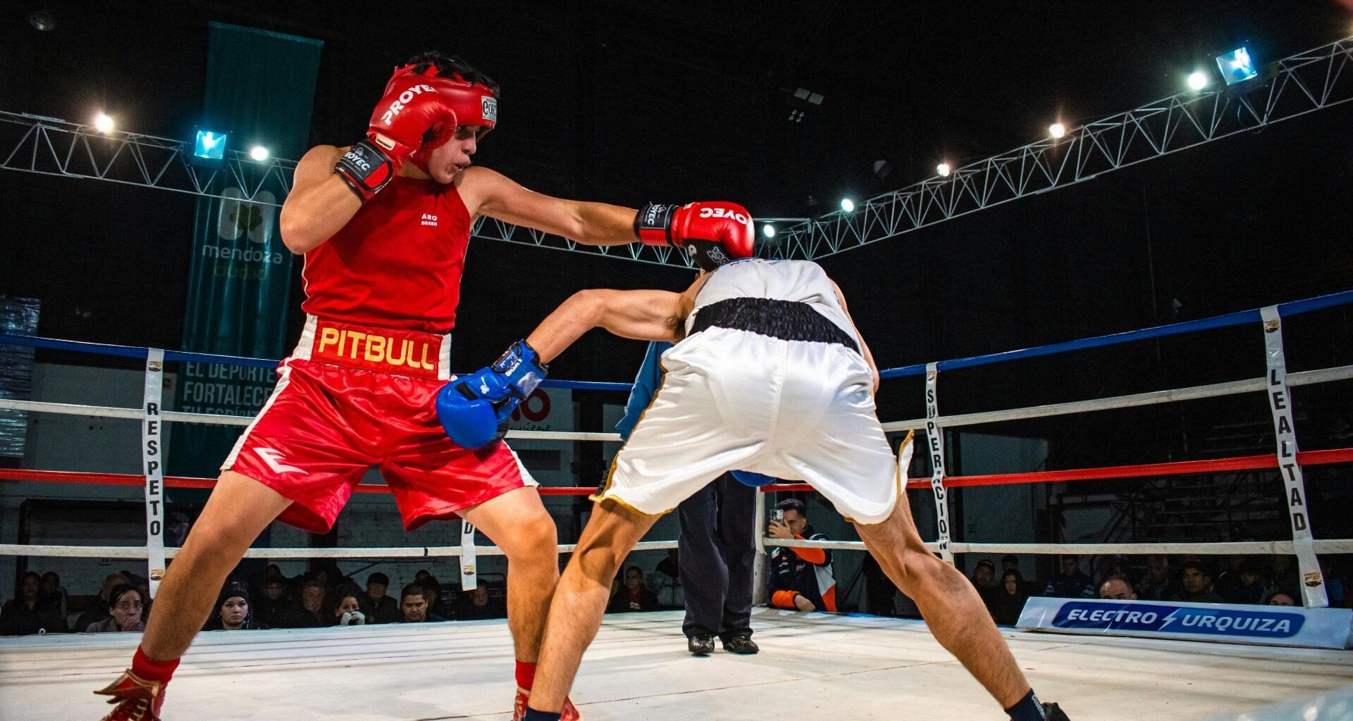 Kazakhstan claims seven medals, three golds at World Boxing Cup