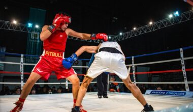 Kazakhstan claims seven medals, three golds at World Boxing Cup