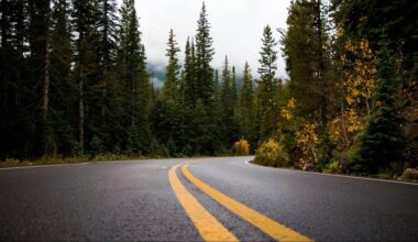 Vancouver Island First Nations gain control of three Clayoquot Sound forestry areas
